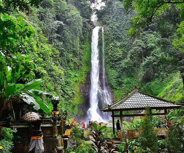 Private driver tour to Gitgit Waterfall Bali